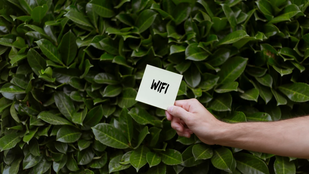 How to Improve Your Wi-Fi Signal: Simple Tips