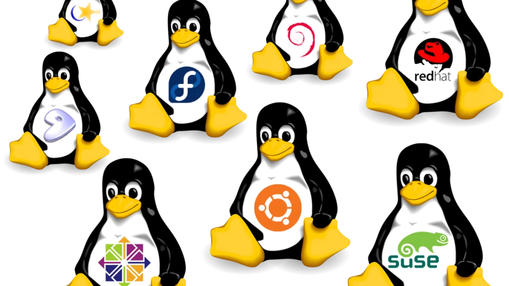 Overview of Popular Linux Distributions: Ubuntu, Fedora, Mint, and Others