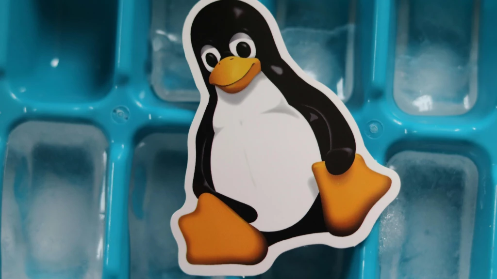 How to Choose the Right Linux Distribution: A Beginner's Guide