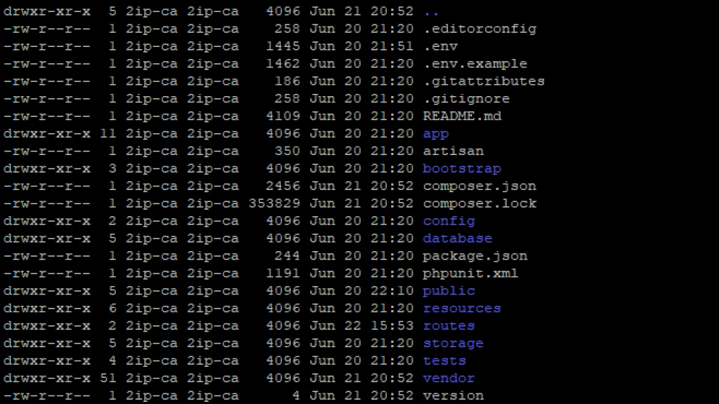 Understanding File Permissions in Linux and the Importance of chmod